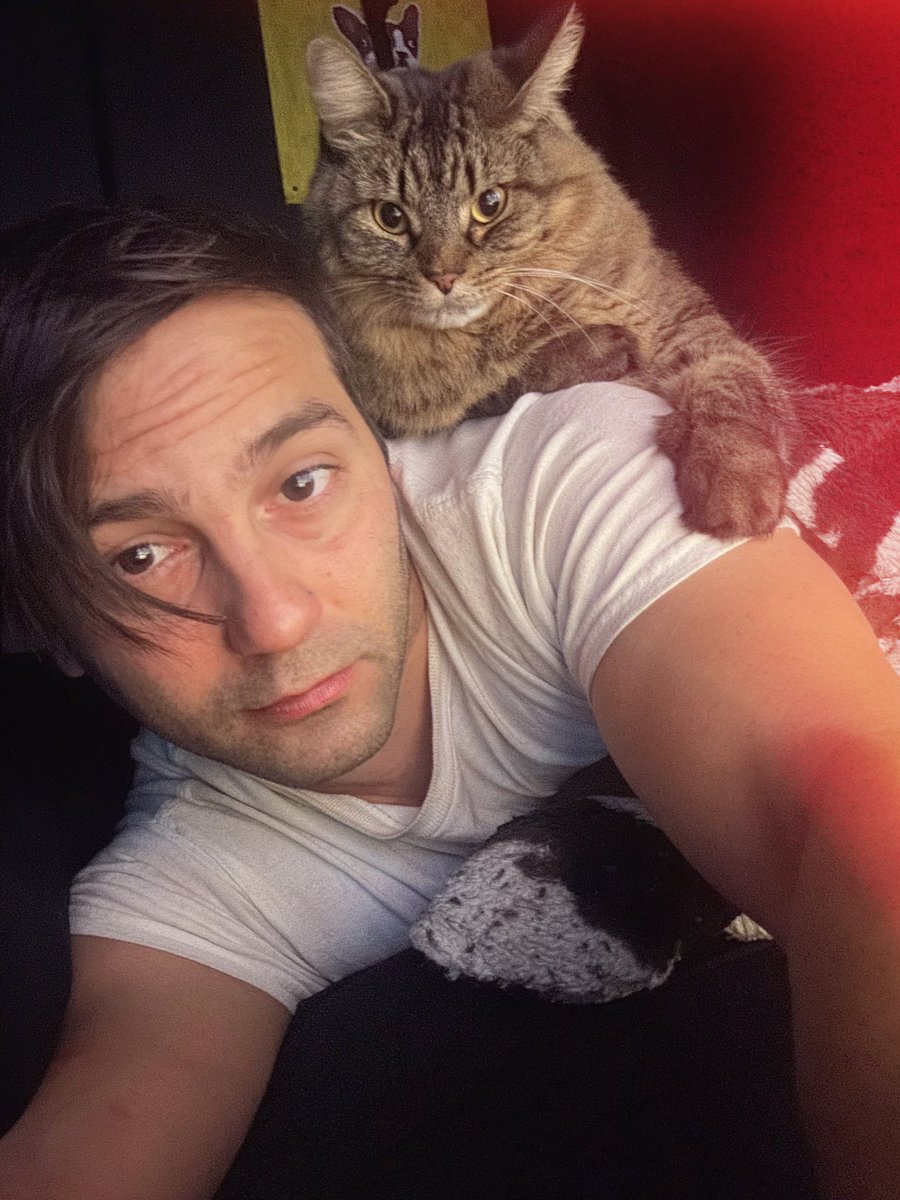 Don Vedda tweet media