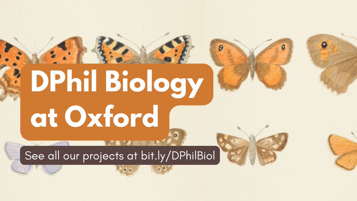 🚨 It's 5 WEEKS until the DPhil Biology deadline!

If you or anyone you know has been thinking about a PhD, now's the last chance to get in touch with supervisors before the winter break

We have 29 exciting projects spanning the biosciences 👇
bit.ly/DPhilBiol