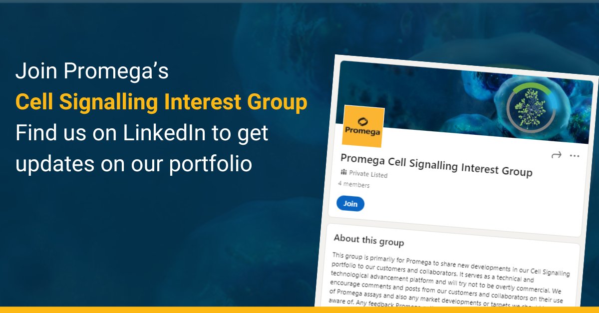 PromegaIreland's tweet image. We have set up a LinkedIn Group for all those interested in Cell Signalling.

This group is primarily for Promega to share new developments in our Cell Signalling portfolio.

Apply to join at bit.ly/41c2Msi

#CellSignalling #Biotech #LifeSciences