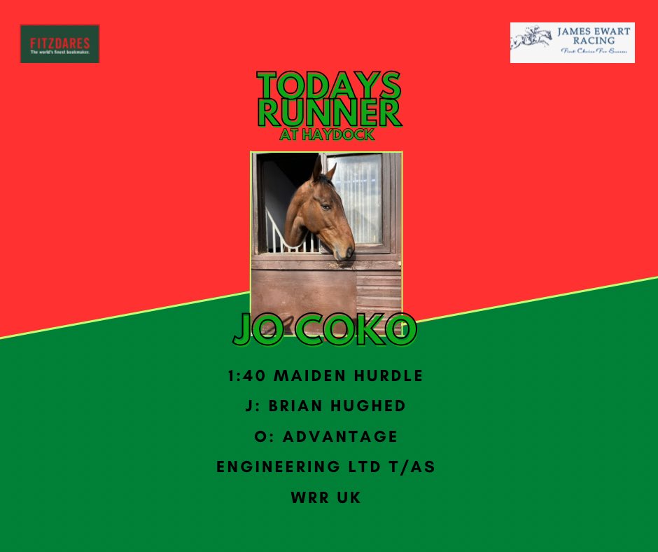 Todays Runner ⭐️ 

Another newbie to make his racecourse debut today, at Haydock Park. 👶 

Jo Coko runs in the 1:40 maiden hurdle, under the guidance of Brian Hughes. 🏇🏻 

Best of Luck to his owner ☘️🤞🏼