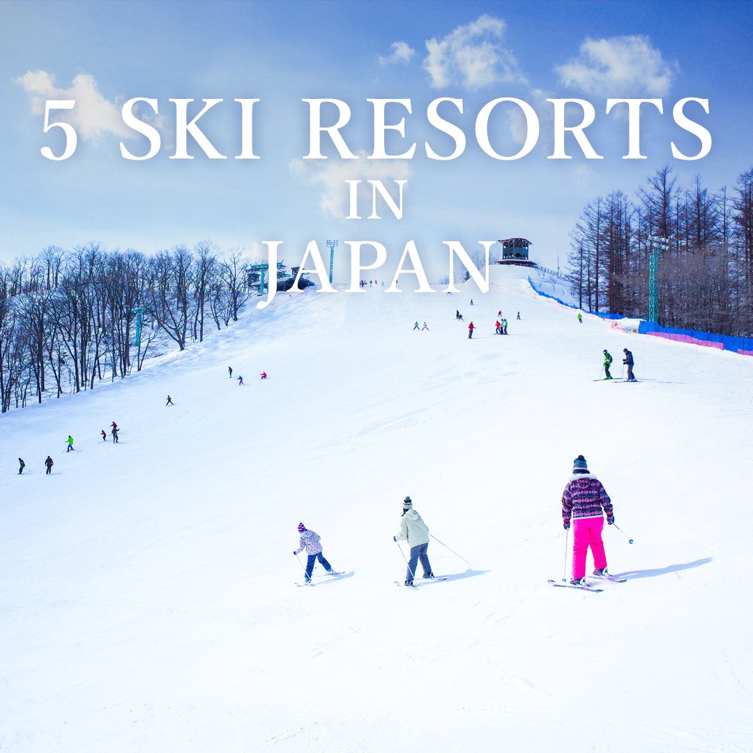 localviewjapan's tweet photo. Japan's ski season is calling! πΏβοΈ
Who's up for some snow-covered adventures?
#SkiJapan #PowderDays #localviewjapan https://t.co/rGHMTepLeU