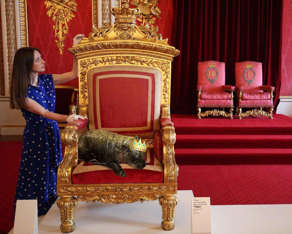 Crypto aper tweet media