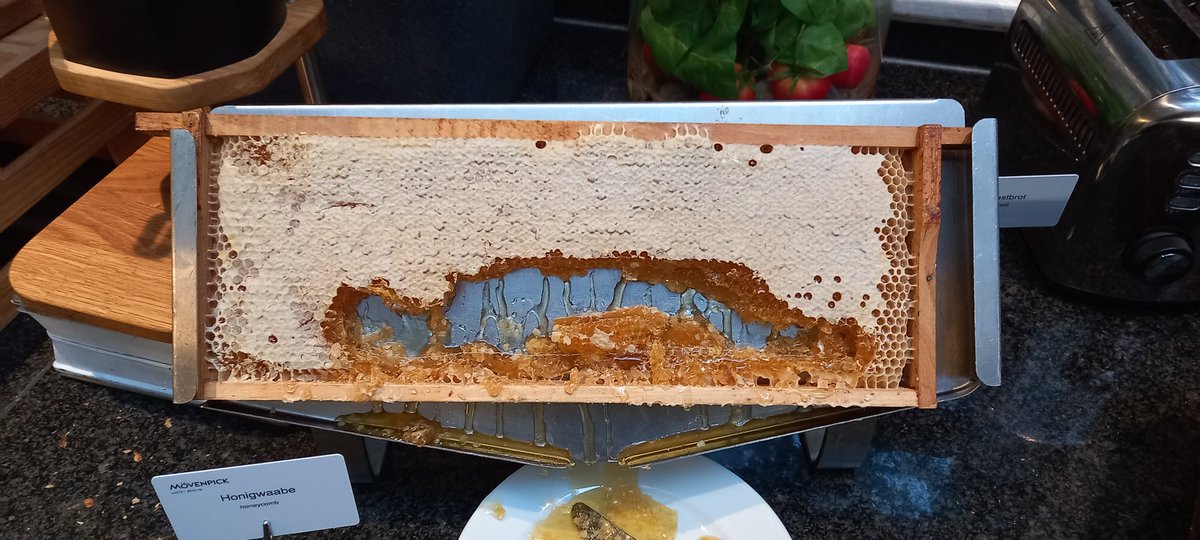 WitneyBees 💙's Bees tweet media