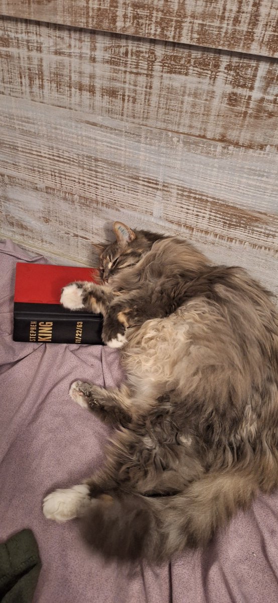 DrBlump's tweet photo. Look at this nerd. Fell asleep while reading. Nerd! https://t.co/Y3uC9d9v4f