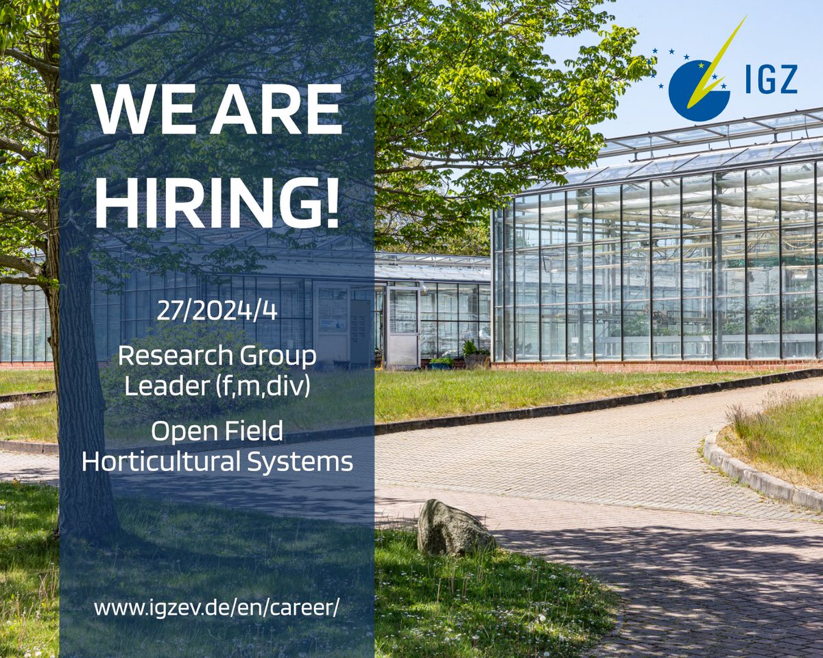 IGZ (@igz_leibniz) on Twitter photo 🌱🚜 Join IGZ as a Research Group Leader in Open Field Horticultural Systems!
📍 Großbeeren (near Berlin/Potsdam)
🕒 Apply by 05.01.2025
📜 Details: igzev.de/en/career/jobs…
Questions? Contact IGZ Scientific Director:✉️ vandam@igzev.de
#ResearchJobs #Horticulture 🌱🚜 Join IGZ as a Research Group Leader in Open Field Horticultural Systems!
📍 Großbeeren (near Berlin/Potsdam)
🕒 Apply by 05.01.2025
📜 Details: igzev.de/en/career/jobs…
Questions? Contact IGZ Scientific Director:✉️ vandam@igzev.de
#ResearchJobs #Horticulture