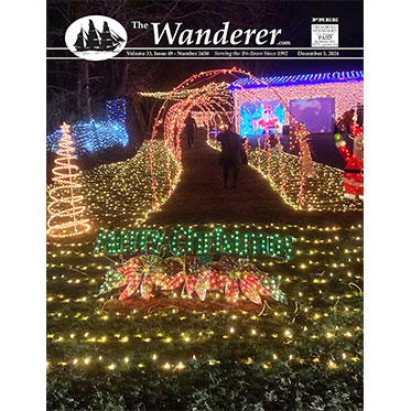 The Wanderer tweet media