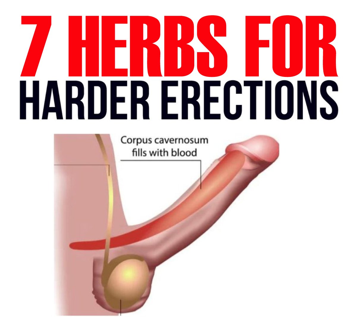 Peak Performance for Men is everything!

Nyama, zvese nemweya zvinofanira kuve zviri panzvimbo.

You have exercised, you have slept enough hours, even ate the right diet, but still musana uchiri wakawota. 

Here are herbs anosimbisa musana.