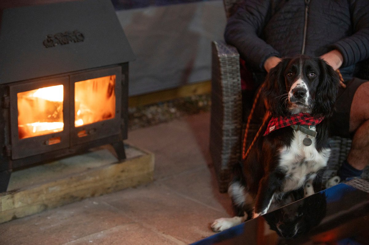 Calling all dog lovers! 🐾🏕️

Campsites are a paradise for your four-legged friends—endless open spaces to explore, woodlands to sniff, and beaches to run wild! 🌲🏖️

Browse now👉 premierparks.outandaboutlive.co.uk/dog-friendly-c…

📸 Back of Beyond Touring Park

#PremierParks #PremierParksPup #DogFriendly