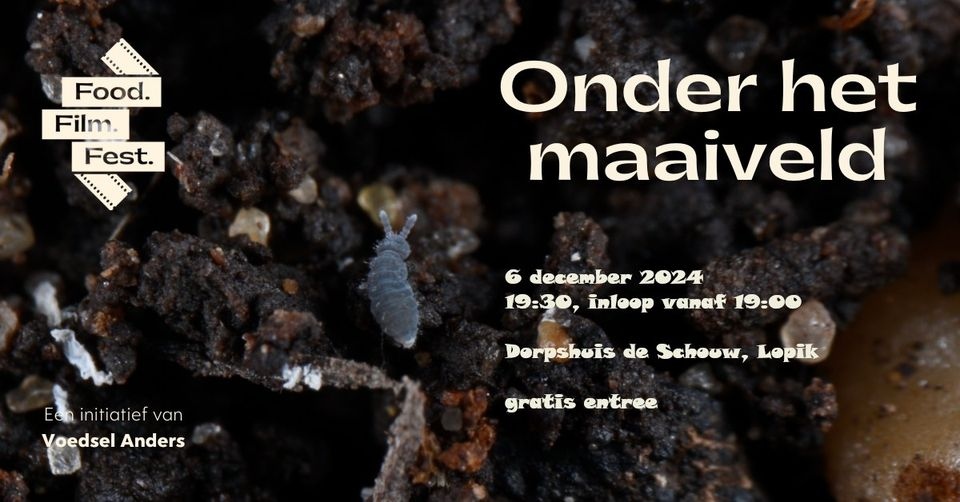 GemLopik's tweet photo. #Gemeentepagina van 4 december met:
- Vergadering raadscommissie
- Inloopavond wegaanpassingen kruispunt Graaf
- Onderzoek opvanglocatie voor asielzoekers op MOB Benschop.

En meer; 
https://t.co/5Hf27XVC7v https://t.co/3doNefTgjM