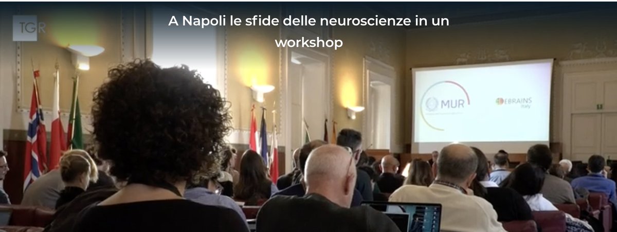#EBRAINS-Italy workshop in the news!
#Neuroscience Italian Community in Naples for presenting latest results of #ResearchInfrastructure #PNRR
#INFN contributions on #Cobrawap, #TrainingServices, #Models &amp; #Simulations 
+ C. Lupo in the video foreground 😉
rainews.it/tgr/campania/v…