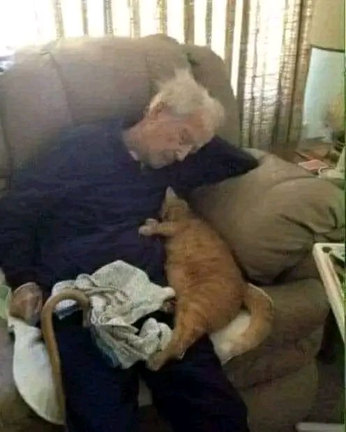 "This is my father, together with Robin, the cat we had at home for 17 years. When we saw them sleeping so tenderly, we rushed to get the camera.
This is the last photo of my father; that very evening, he left us forever, taking a piece of our hearts with him.
You won't believe