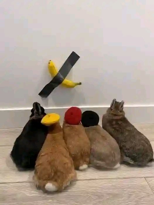 #ElonMusk we should try buy and eat