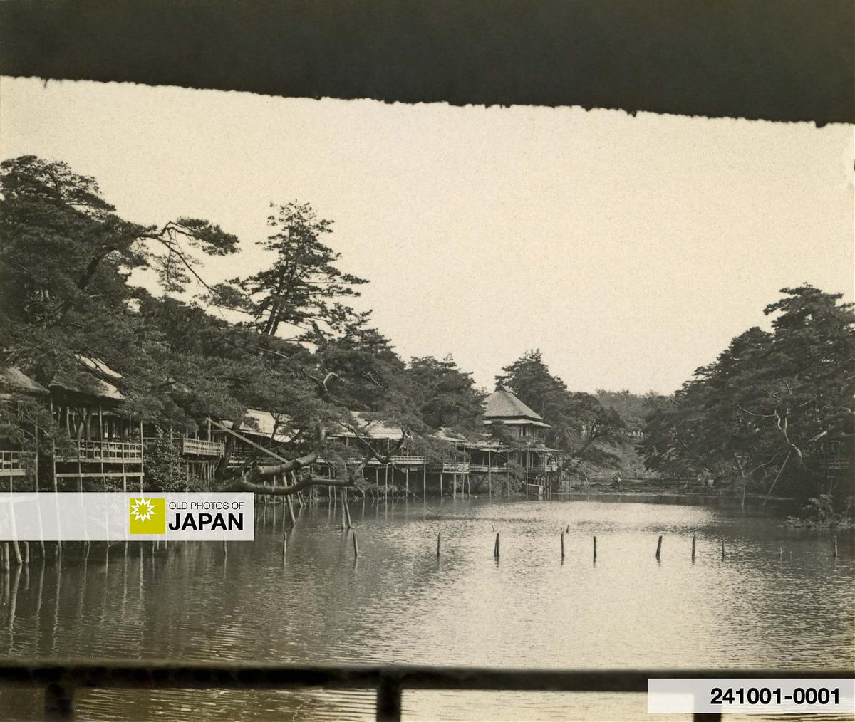 THREAD : 1 of 2

I have been telling the story of a forgotten pond in what is today Tokyo’s famous skyscraper district.

Part 5 takes us into the early 1900s when the natural sanctuary where “worldly desires vanish” was converted into a place to satisfy worldly desires.
