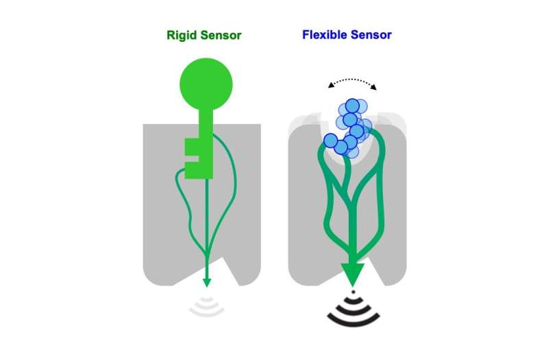 Bsbe2024's tweet photo. Designing synthetic receptors for precise cell control read more at: https://t.co/yLqW0CCLUa for more related information join at: https://t.co/vXQJONg9lt #Bio #technologies #sensors #Electronic #skyフレンド募集中 https://t.co/npbs4iPZo7