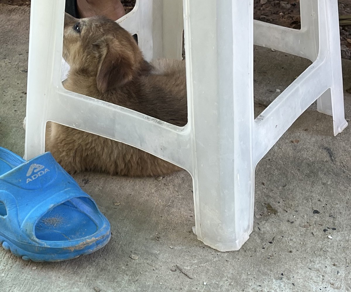 ชีวิตติดนอนเกยของชี