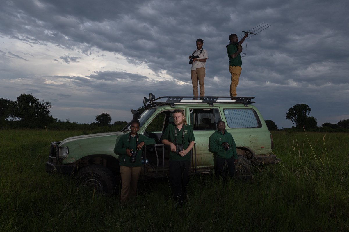 Alex Braczkowski tweet media