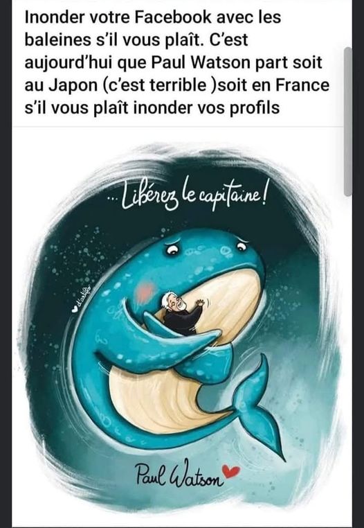 VenantN's tweet photo. @GG_RMC Sans terrasses chauffées en hiver, pas de problèmes de clopes. Y a des problèmes plus urgent comme celui-ci ? Au fait on n'a jamais entendu Lefebvre l'amie des bêtes s'insurger https://t.co/BtbjC9POzN