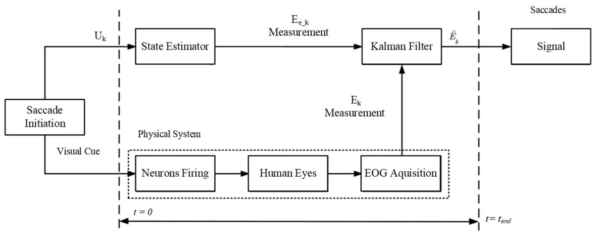 Sensors_MDPI's tweet image. A Fusion Algorithm Based on a Constant Velocity Model for Improving the Measurement of Saccade Parameters with Electrooculography 
mdpi.com/1424-8220/24/2…
@UBC 
#biomedicalsignalprocessing; #corneoretinalpotential; #electrooculography