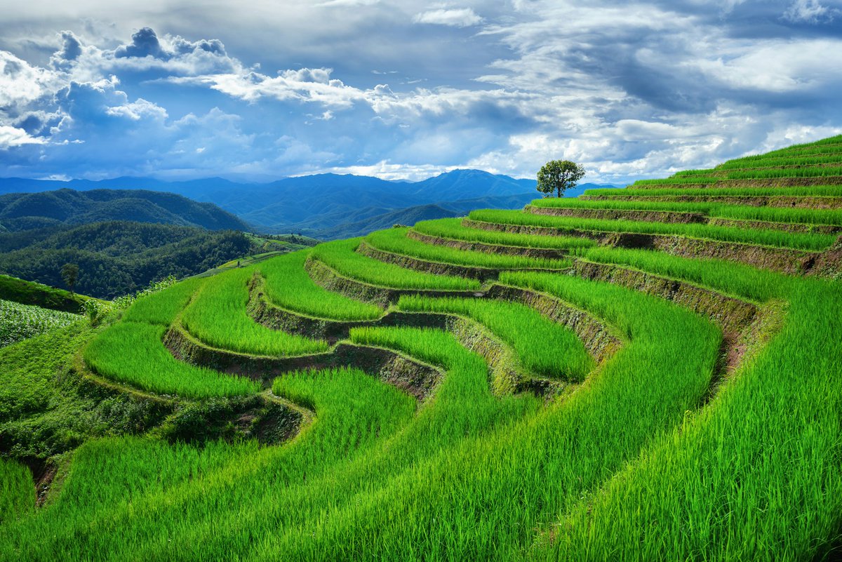 Modern flood control inspired by 5,000-year-old rice terraces. This is a great reminder to look beyond the obvious and see if the solutions we need already exist in another form.
superstructuresassociates.co.uk/rice-terraces-…
#Engineering  #Construction  #architecture