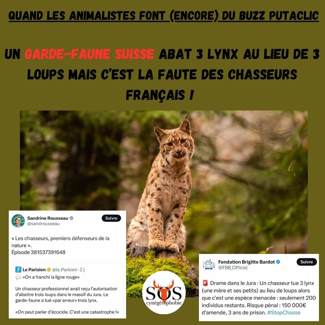 defendonschasse's tweet photo. Ils voient le mot « #chasse » et « Jura » et hop c’est parti pour le déferlement de #haine … Nous vous rassurons ce n’est pas une faute d’inattention mais une volonté de nous nuire en nous incombant toute la misère du monde …

#Cynégétophobie #GardeFaune #Suisse #Lynx #Loup https://t.co/cOCGy8ELBN