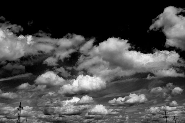 TwoJost's tweet photo. Good morning, dear art lovers! Have an amazing Wednesday ☀️🖤

Take a look at my black &amp; white photography on #obkt #tezosart 

https://t.co/syziQt3Flj https://t.co/ICEZYJqpKm