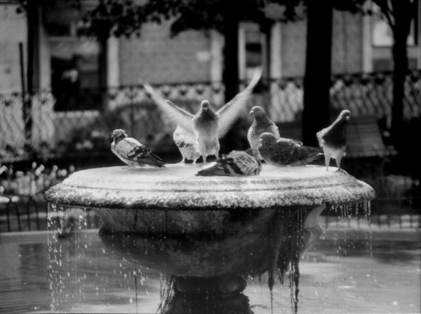 TwoJost's tweet photo. Good morning, dear art lovers! Have an amazing Wednesday ☀️🖤

Take a look at my black &amp; white photography on #obkt #tezosart 

https://t.co/syziQt3Flj https://t.co/ICEZYJqpKm