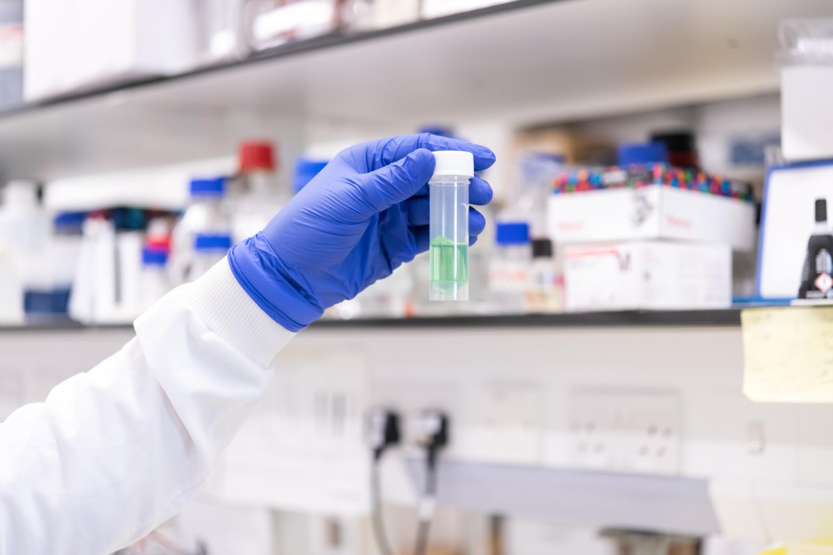 St George’s laboratories have been awarded the LEAF Silver Award, a national recognition for their exceptional commitment to sustainability and environmental stewardship.🍃 💙

Learn more: sgul.ac.uk/news/labs-rece…