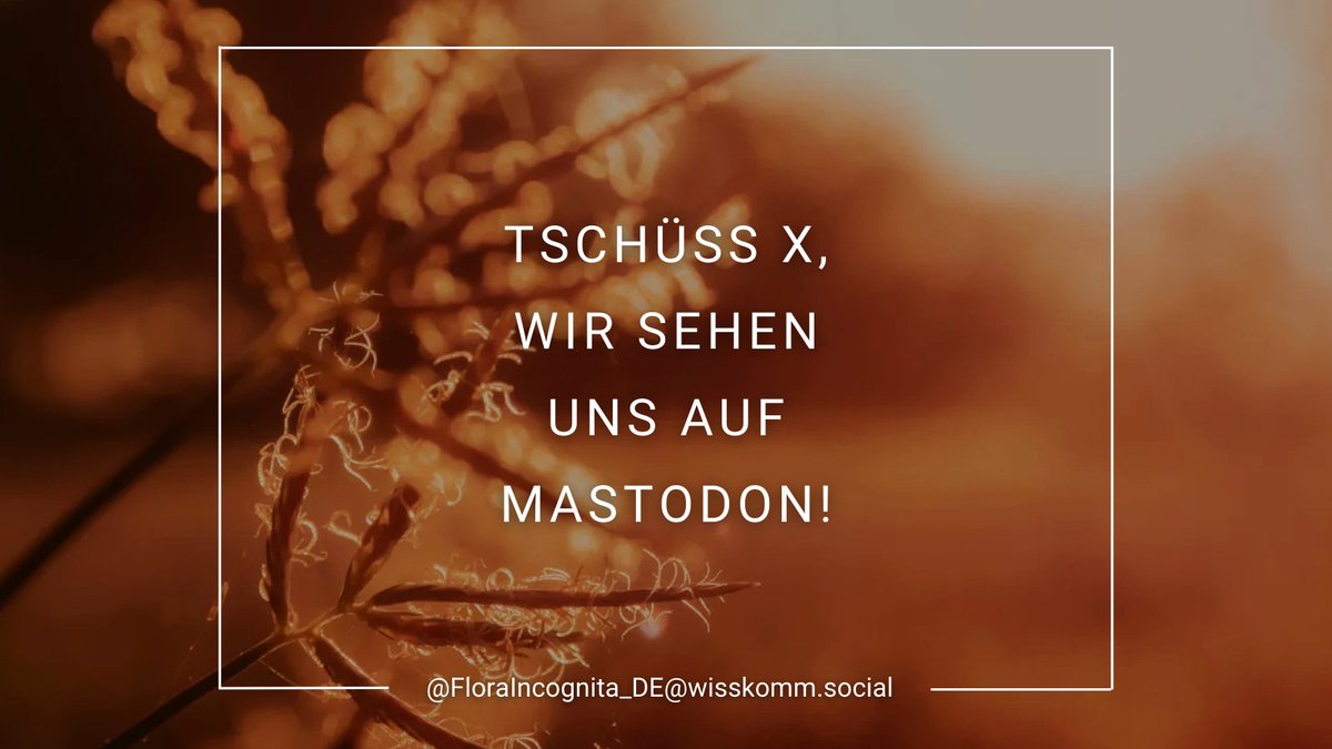 Liebe Follower, 
wir stellen hiermit die Kommunikation auf X ein. Unsere Inhalte findet Ihr weiterhin in den Storys der Flora-Incognita-App (Glöckchen auf dem Startbildschirm), oder auf anderen Social-Media-Kanälen, zum Beispiel  Mastodon. 
Bis bald woanders! Das Flora-Team.