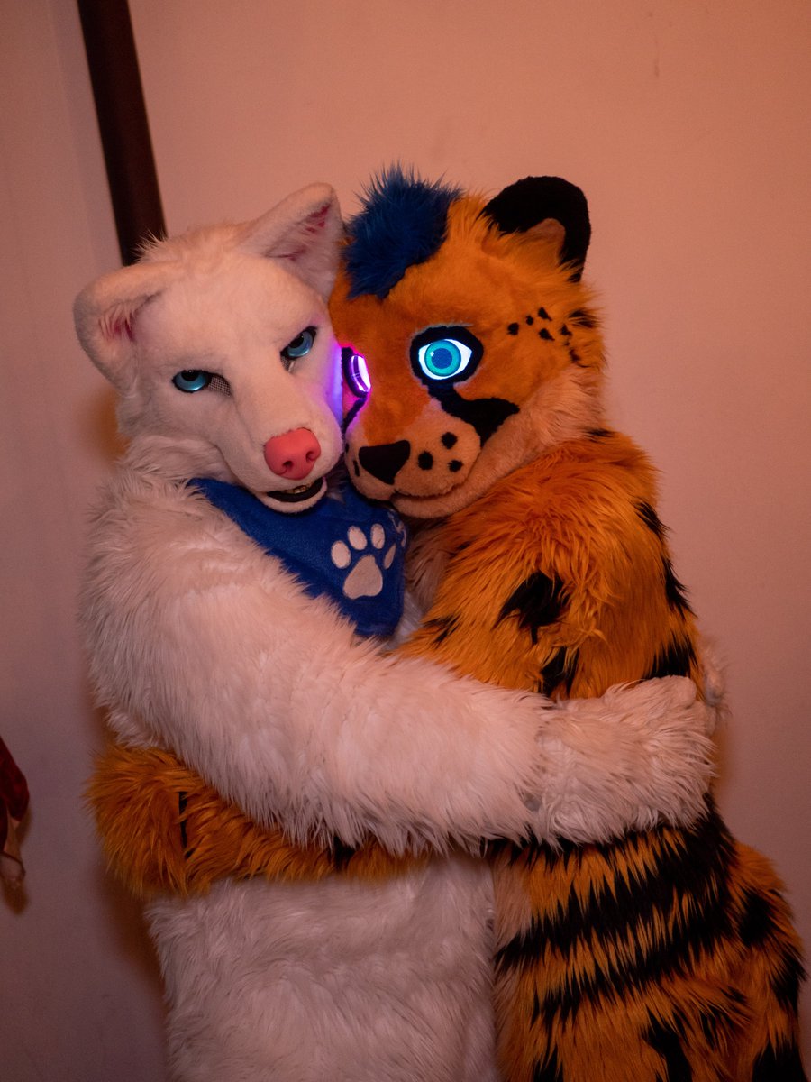 Shane Rodriguez (@shane_the_wolf) on Twitter photo Wish every Chee a nice #WorldCheetahDay
🗓 01.04.2023
🐆 <a href="/BlackspotYeetah/">Blackspot-Yeetah</a>
🐺 <a href="/Shane_the_Wolf/">Shane Rodriguez</a>
📸 <a href="/CloudfallDAD/">CloudfallTheDutchie</a>
#wolfwednesday Wish every Chee a nice #WorldCheetahDay
🗓 01.04.2023
🐆 <a href="/BlackspotYeetah/">Blackspot-Yeetah</a>
🐺 <a href="/Shane_the_Wolf/">Shane Rodriguez</a>
📸 <a href="/CloudfallDAD/">CloudfallTheDutchie</a>
#wolfwednesday