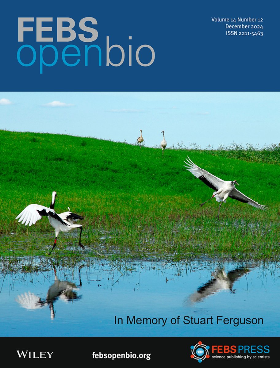 FEBSOpenBio's tweet photo. 🎅Our December Issue is online🎄

📕 On the Cover: Understanding the ecology of hooded cranes through the metagenomics analysis of their gut microbiota

🔓 https://t.co/3we8wdsyhU

#LiveCellImaging #Biotechnology 
#Metagenomics #RNAbiology https://t.co/NV8xnX3NLo
