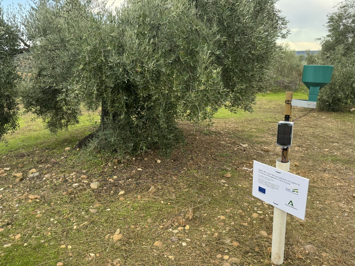 📡 ¿Te imaginas poder controlar tu olivar con un clic?

Con <a href="/samm_iro/">Proyecto Samm_iro</a>, los agricultores podrán:

🌱 Automatizar el riego y la protección fitosanitaria 
📊 Tomar decisiones basadas en datos reales
💧 Ahorrar costes y cuidar el medio ambiente

🌿 ¡Conoce nuestro proyecto!