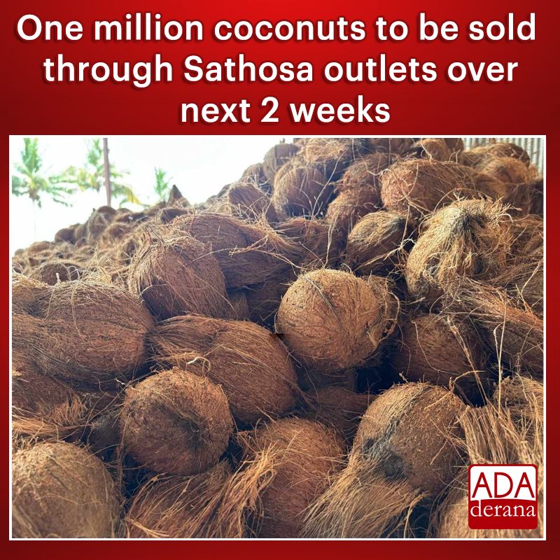 adaderana's tweet image. One million coconuts to be sold through Sathosa outlets over next 2 weeks

Read more: adaderana.lk/news.php?nid=1…

#sathosa #lka #slnews #news #adaderana #srilankanews #srilanka