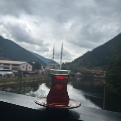 shimaawad9's tweet photo. #NewProfilePic https://t.co/p9zaKSW7QK