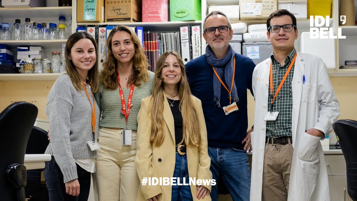 IDIBELL (@idibell_cat) on Twitter photo 🔬Growth pattern in colon cancer liver metastases may influence response to #immunotherapy via their cell microenvironment.
According to #IDIBELL and <a href="/ICO_oncologia/">Institut Català d'Oncologia</a> researchers, the results could have a major impact on treatments personalisation.
🆕idibell.cat/en/2024/12/gro… 🔬Growth pattern in colon cancer liver metastases may influence response to #immunotherapy via their cell microenvironment.
According to #IDIBELL and <a href="/ICO_oncologia/">Institut Català d'Oncologia</a> researchers, the results could have a major impact on treatments personalisation.
🆕idibell.cat/en/2024/12/gro…