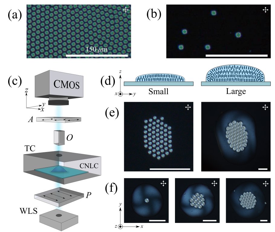 IOPProgressin's tweet photo. 🌟 Exciting discovery! 🌟 Check out the latest research on Abrikosov clusters in chiral #LiquidCrystal droplets by V Fernandez-Gonzalez et al. published recently in #ROPP.
Learn about the self-organisation of vortex clusters in liquid crystals here: https://t.co/sBdnKePBfQ https://t.co/5rqMS0lOvB