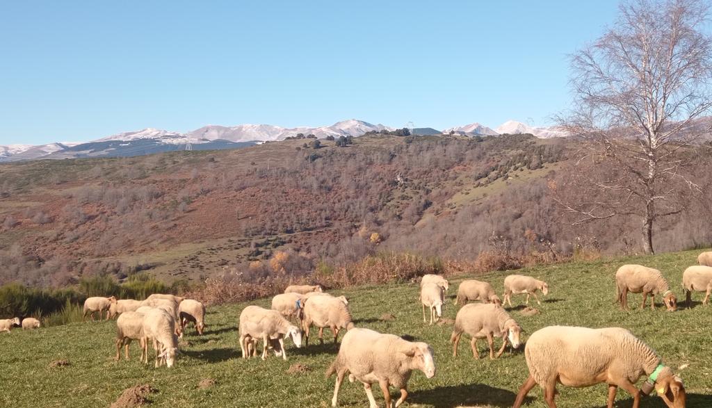xaiecologic's tweet photo. L'hivernàs ja ensenya les urpes...
#Neu
#Rispa
#Fred
#HistòriesDeMuntanya
#HistòriesDeLaRoda
#Sompastors https://t.co/fOWPwhm67m