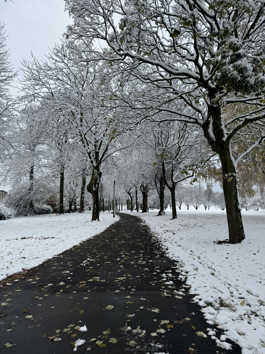 جس دن تکلیف نہ رہی رشتہ بھی نہیں رہے گا
#قومی_زبان