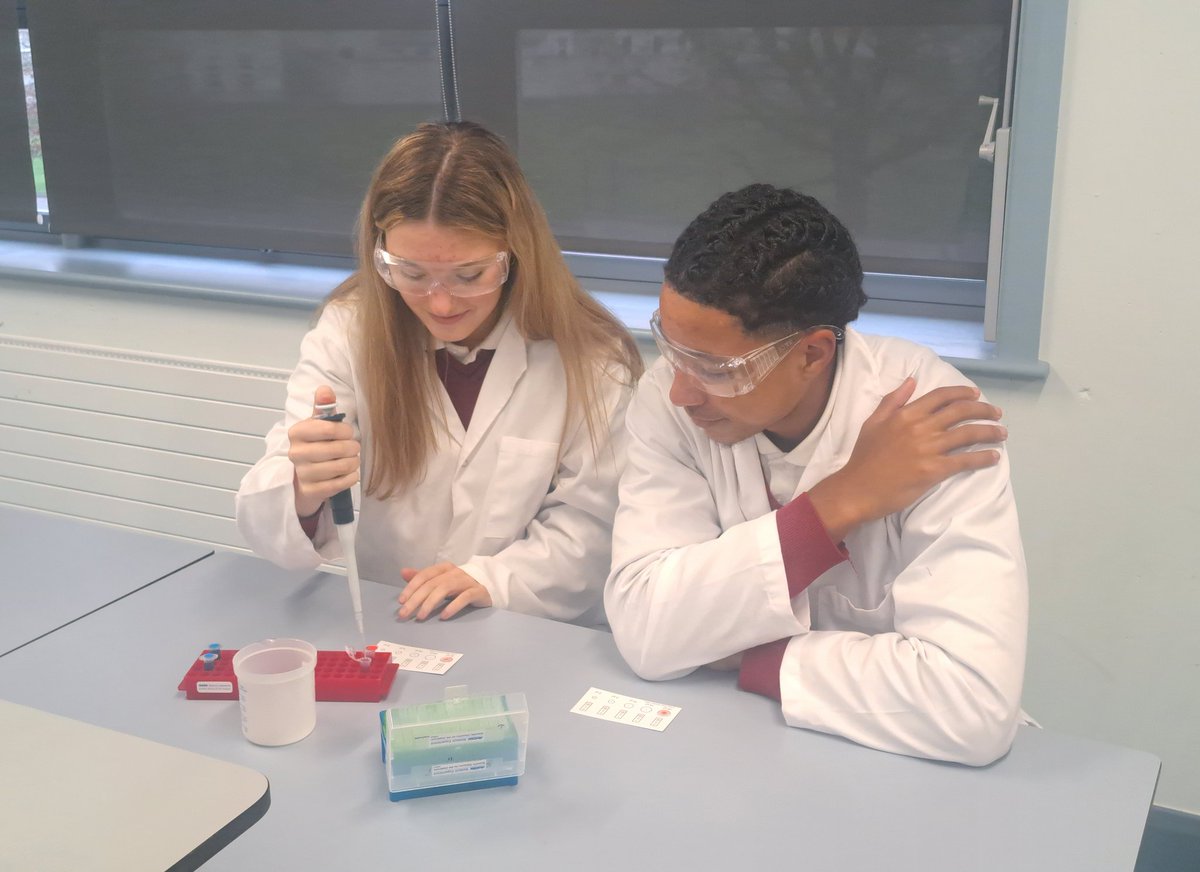 SMESecondary's tweet photo. Our LC Biology students have been afforded the wonderful opportunity to learn some advanced lab skills like DNA Profiling &amp; Micropipetting in the last few days &amp; its all thanks to the fantastic 'Amgen Biotech Experience'! @ucdscience @DCUFSH. @abe_ireland @AmgenFoundation 👨‍🔬👩‍🔬 https://t.co/kW8U2hzzKQ
