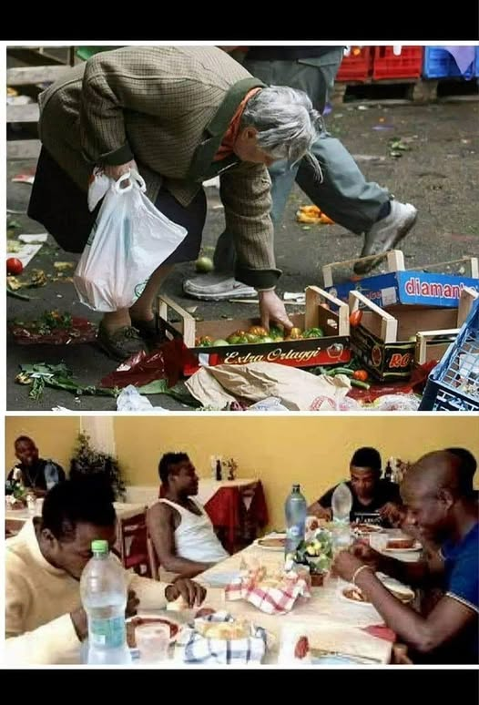 Wim den Oudsten tweet media