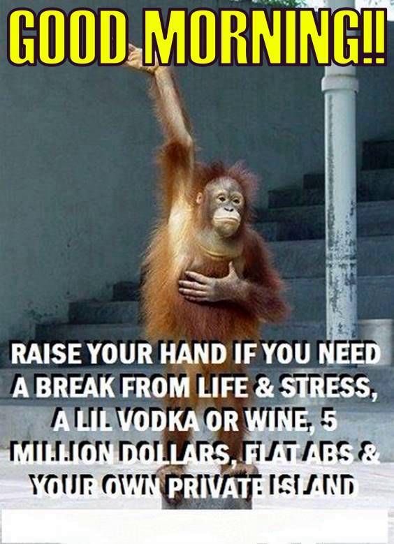 ebert_ann's tweet image. #HumpDayHumor @LouDPhillips @Von2Highlands @teresag555 @DocAtCDI @DzintraSullivan @stephenRB4