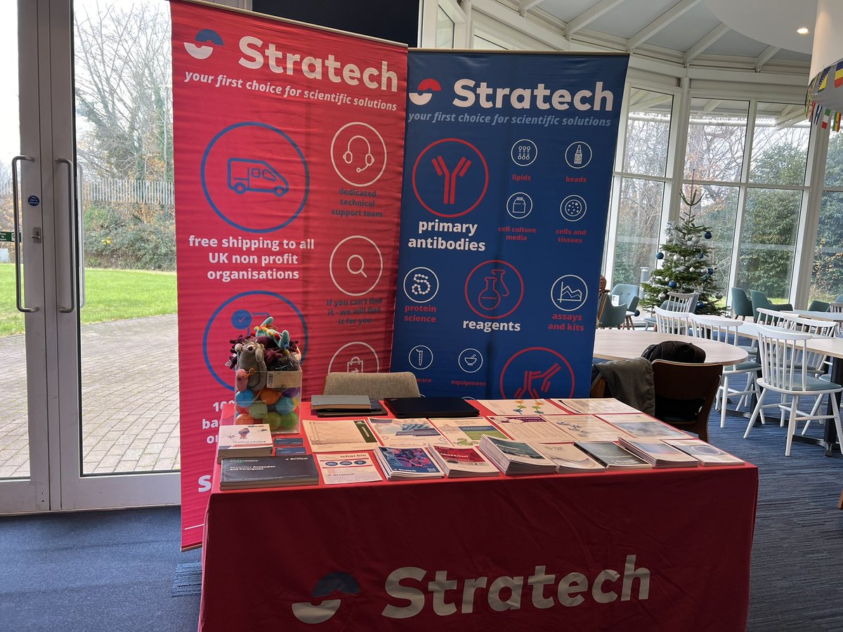 Adam Stratech tweet media