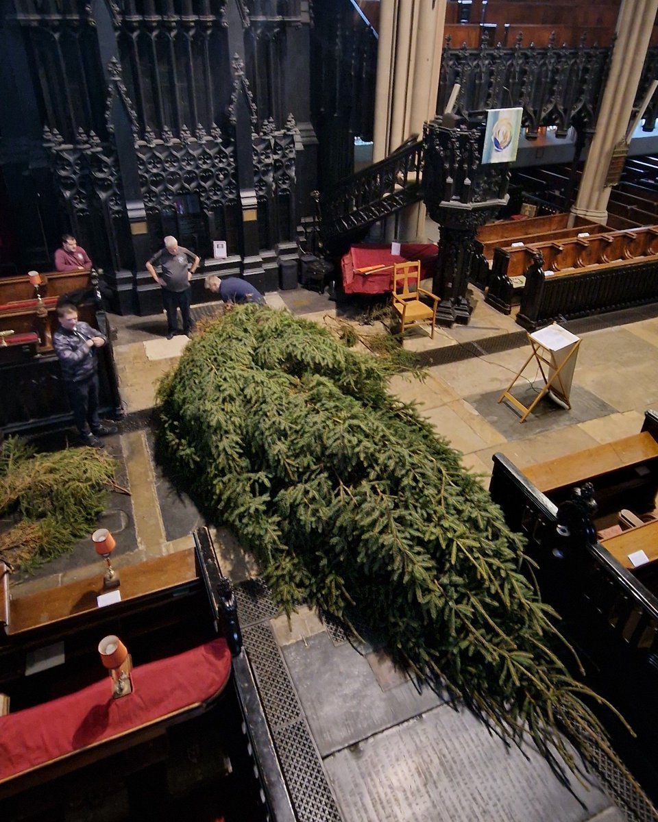 It's beginning to look a lot like Christmas! ❄️✨

Get a behind the scenes look at the arrival of our spectacular 20ft tree.

Be sure to come and see it at any of our Christmas services, or pop in for a cup of tea, we're open Tuesday-Saturday 11am-2pm