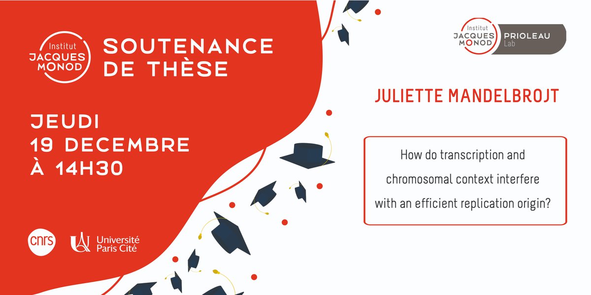 IJMonod's tweet photo. ❗PhD thesis defense❗

📅 December 19th
📍 Institut Jacques Monod

Juliette Mandelbrojt (Prioleau Lab) will defend her PhD thesis "How do transcription and chromosomal context interfere with an efficient replication origin?"

➡️ https://t.co/nBJ1JZXIpm https://t.co/I4ix4w2NEA