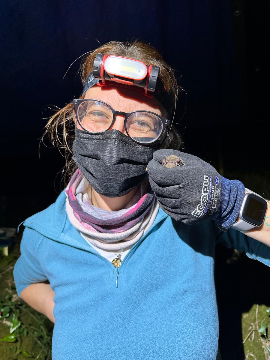 I'm starting my career in bat research! 🦇 I had the opportunity to participate in symposiums, workshops and field work, leading me to pursue a PhD in this field📚 I will tell you more about me, and this journey I will start! I think they accept me!🤭
#bats #research #PhD #ALAN