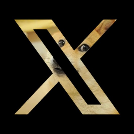 cryptodailyTS's tweet photo. $Doge  X-Payments coming soon! https://t.co/kys1d10mXj