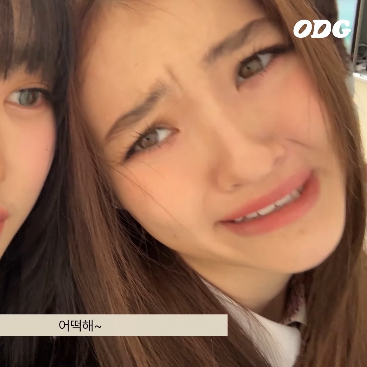 Ella Gross 😭😭😭

#미야오 #MEOVV #MEOW #ミヤオ #ELLA #엘라