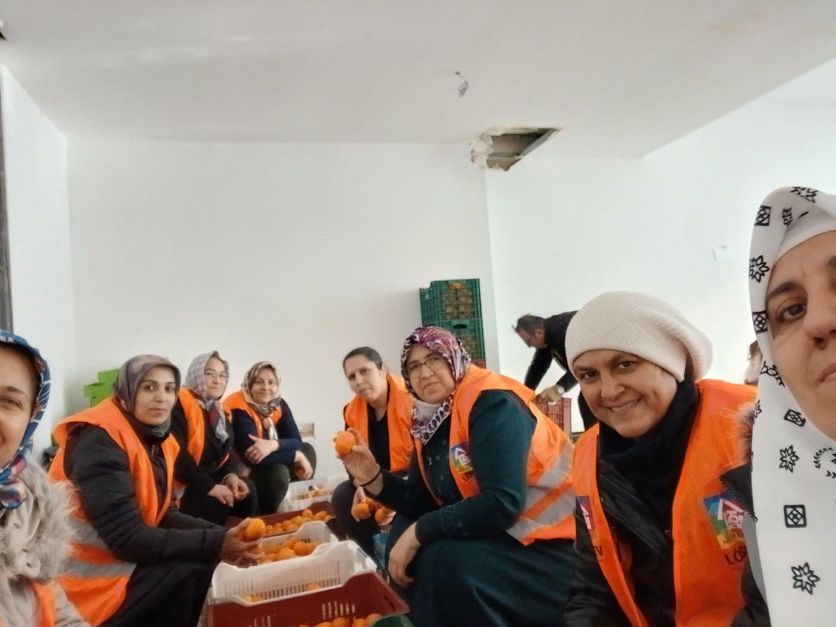 SevimBALAL1's tweet photo. Organik Mandalina Izmir Seferihisar bahçesi  Losev,  siparişinizi  verdinizmi..Kayseri ofiste  paketliyoruz. @losev1998 @ustunezer @aysegciftc https://t.co/JJRM5Ymae9