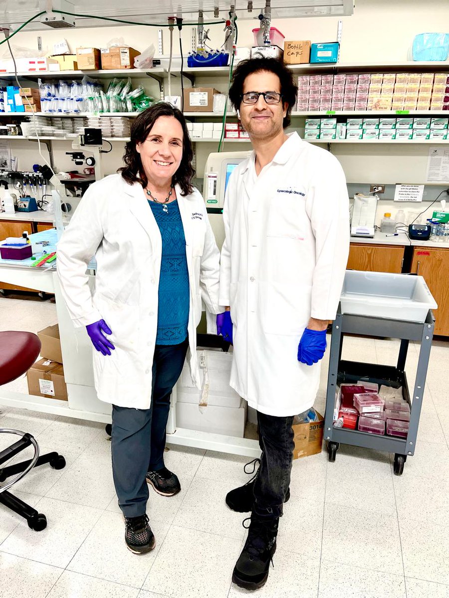 icmr_nicpr's tweet photo. ⚠️Major Breakthrough!!

Our scientist @dr_showket has developed therapeutic interventions for #HPV- associated #cervical #cancer in collaboration with Stephenson Cancer Center, USA  holding promise for improving outcomes. It has been published in the Journal of Medical Virology. https://t.co/Y0VaI2QUeG