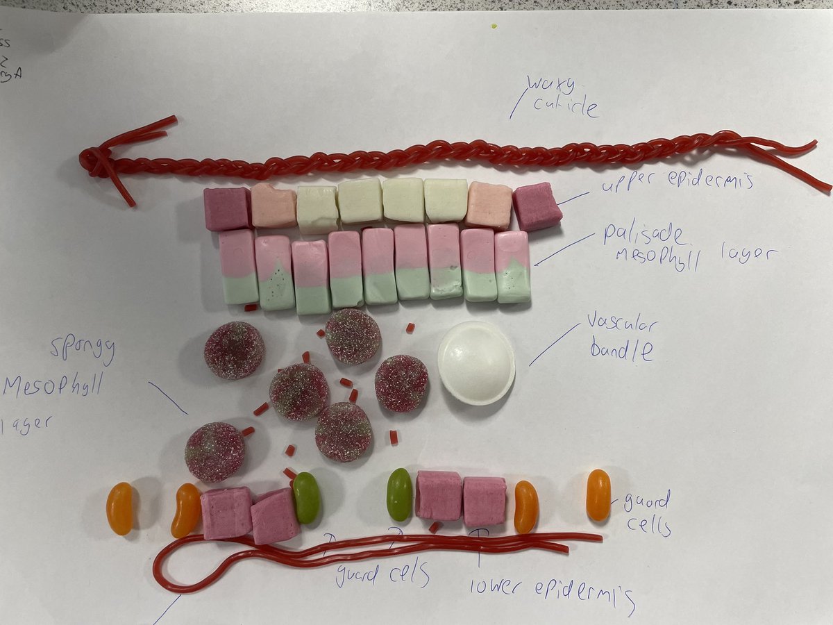 Biology at King's tweet media