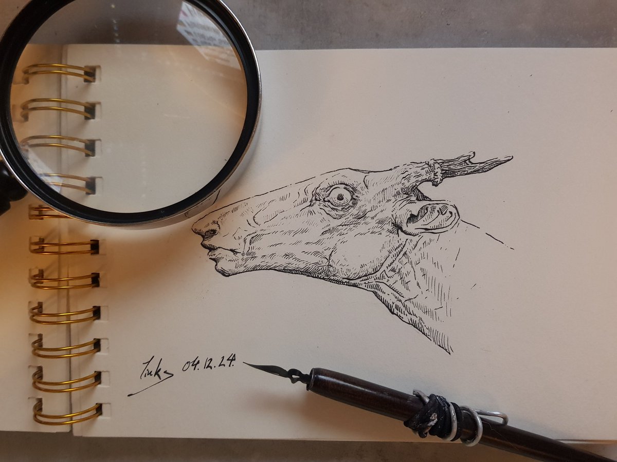 Creature :))

#art #caligraphy #ink